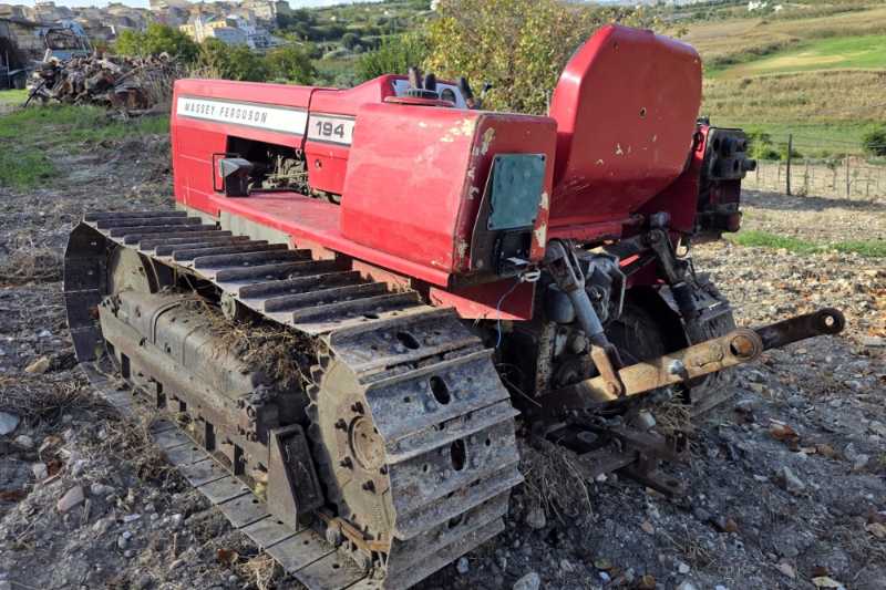 OmecoHub - Immagine MASSEY FERGUSON 194C